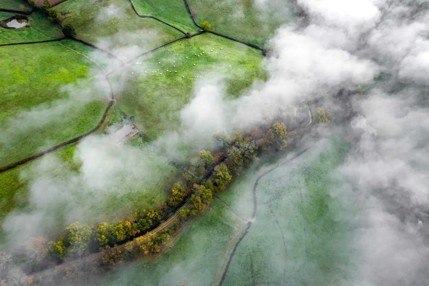 Misty green landscape from above