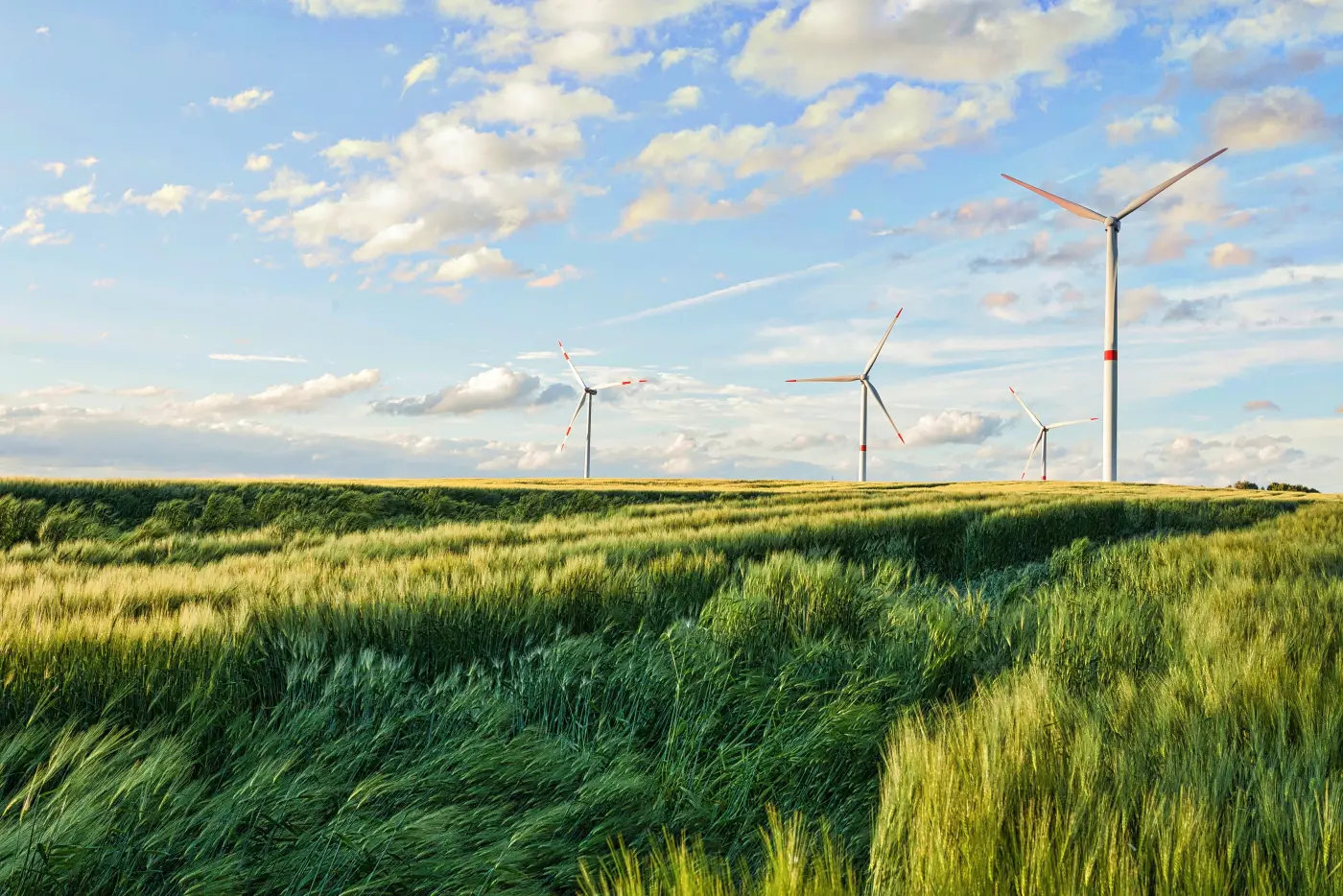 Wind turbines on a renewable energy site
